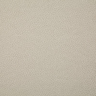 Pindler and Pindler Sanders Chalk