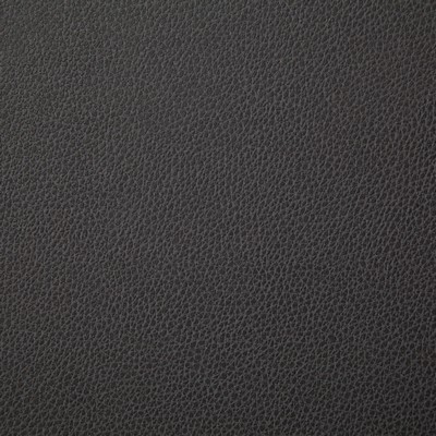 Pindler and Pindler Sanders Charcoal