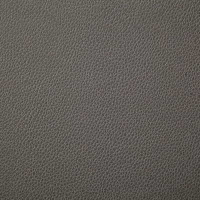 Pindler and Pindler Sanders Cinder