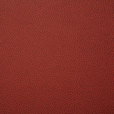 Pindler and Pindler Sanders Flame