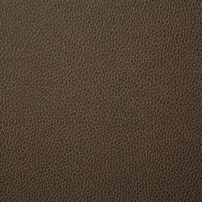 Pindler and Pindler Sanders Latte