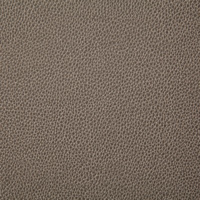 Pindler and Pindler Sanders Mushroom