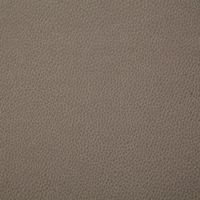 Pindler and Pindler Sanders Pumice