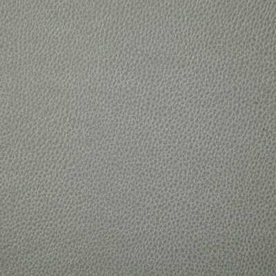 Pindler and Pindler Sanders Steel