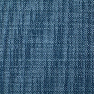 Pindler and Pindler 7315 Hillsdale Blueberry
