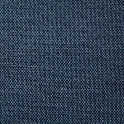 Pindler and Pindler 7316 Clearfield Blueberry