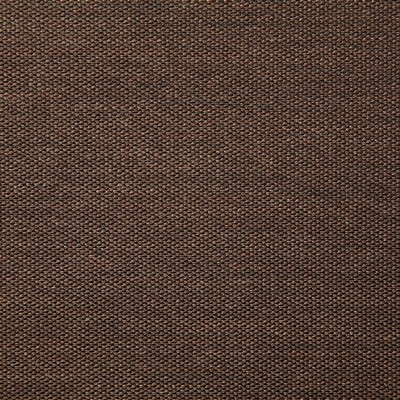 Pindler and Pindler 7316 Clearfield Brown