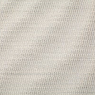 Pindler and Pindler 7316 Clearfield Canvas