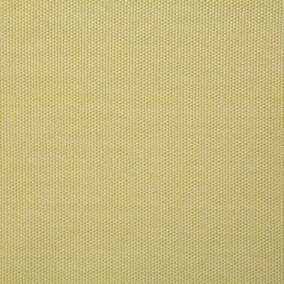 Pindler and Pindler 7316 Clearfield Citrus
