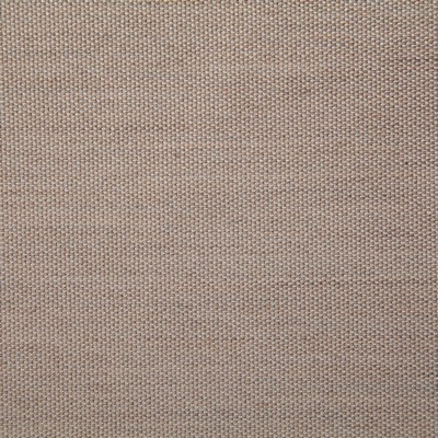 Pindler and Pindler 7316 Clearfield Mocha