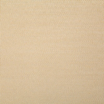 Pindler and Pindler 7316 Clearfield Tan
