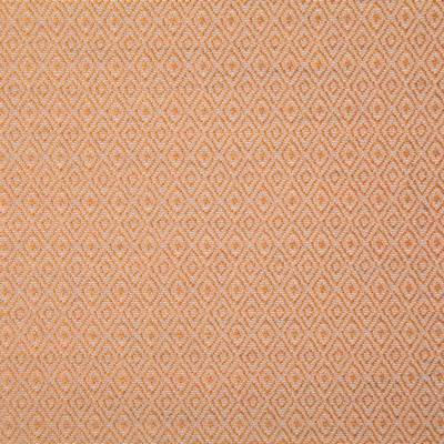Pindler and Pindler 7318 Hedgerow Papaya