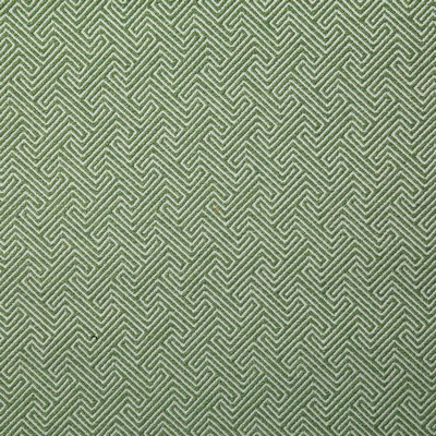 Pindler and Pindler 7319 Domain Spring