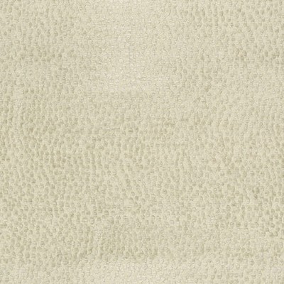 P K Lifestyles SPOTTY DOTTY Dove