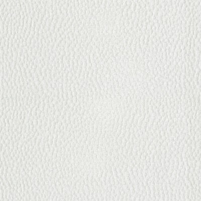 P K Lifestyles SPOTTY DOTTY White