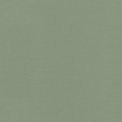 P K Lifestyles RAYA Spring