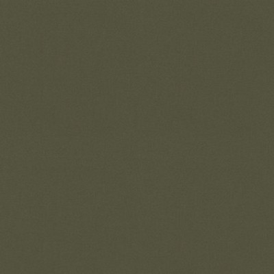 P K Lifestyles RAYA Leaf