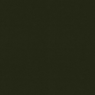 P K Lifestyles RAYA Olive