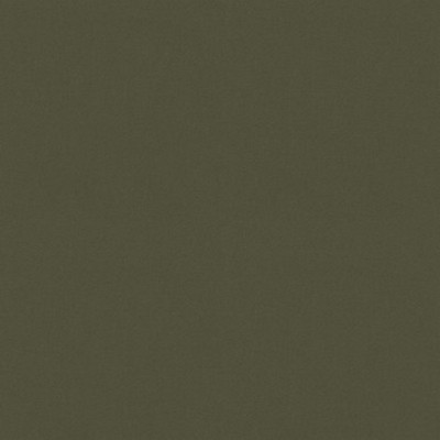 P K Lifestyles RAYA Loden