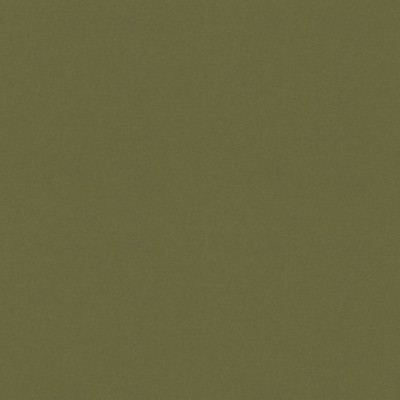 P K Lifestyles RAYA Sage