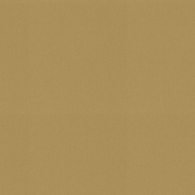 P K Lifestyles RAYA Wheat