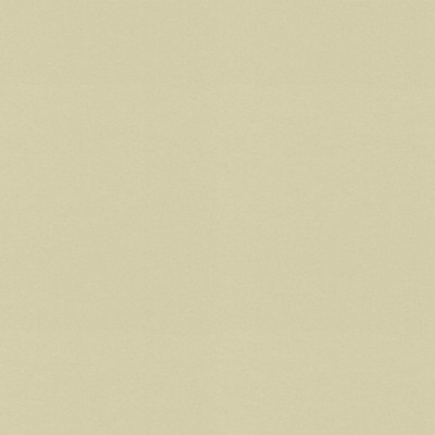 P K Lifestyles RAYA Beige