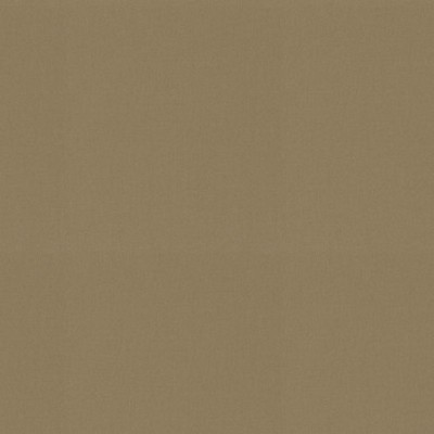 P K Lifestyles RAYA Ginger