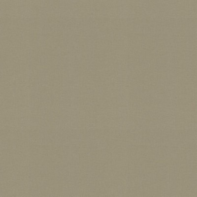 P K Lifestyles RAYA Elephant