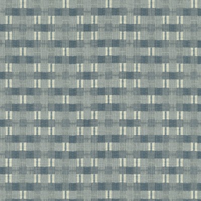 P K Lifestyles PICNIC PLAID Chambray