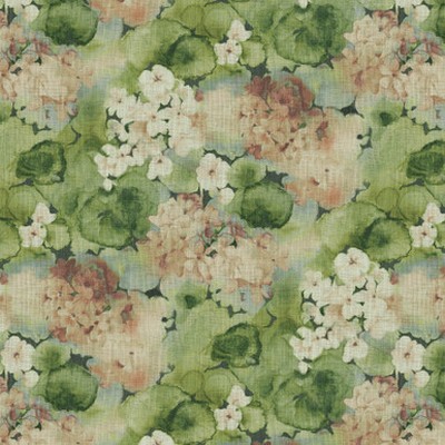 P K Lifestyles VERSES Ivy