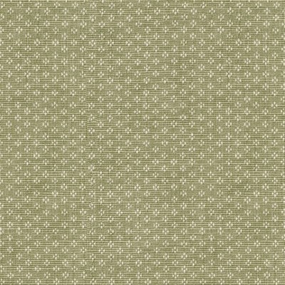 P K Lifestyles BAY LEAF Olive