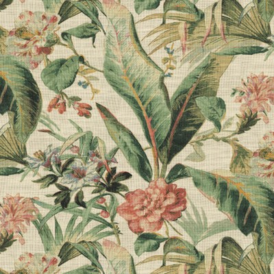 P K Lifestyles ETERNAL BLOOM Woodrose