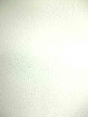 Plastex International Inc Aqua Snow Brite