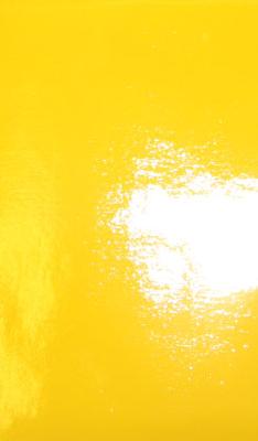Plastex International Inc Wet Look Dark Yellow