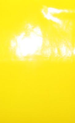 Plastex International Inc Wet Look Yellow