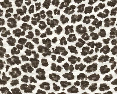 Premier Prints Leopard Black