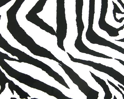 Premier Prints Zebra Black White