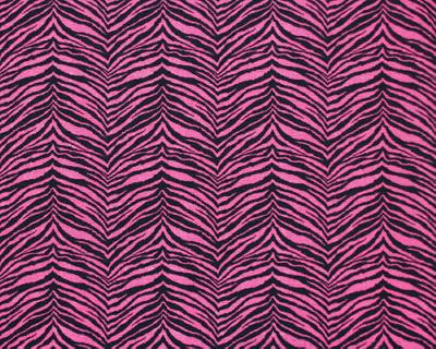 Premier Prints Little Tiger Candy Pink Black