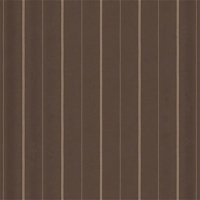 Ralph Lauren Hawk Stripe Mequite