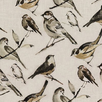 Richloom Birdwatcher Charcoal