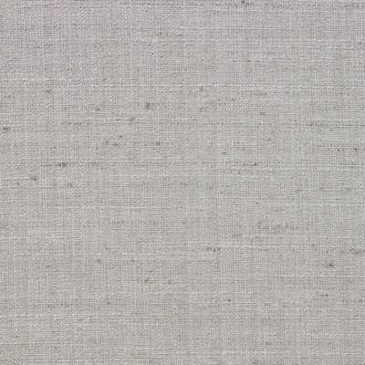 Richloom DELLING SILVER