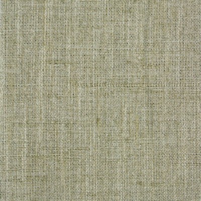 Richloom LARSEN ALOE 