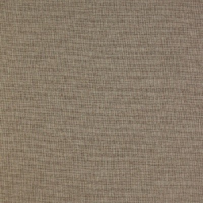 Richloom Sensu Wheat