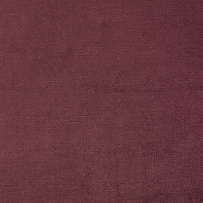 Richloom VIVOLI RUM RAISIN