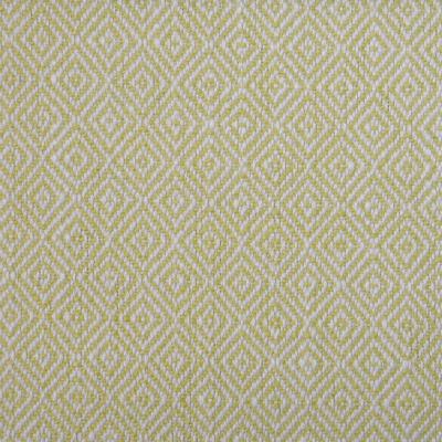 RM Coco Fenway Cucumber