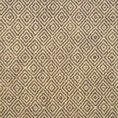 RM Coco Fenway Elephant