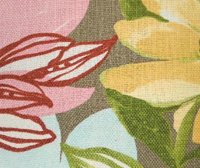 RM Coco Beijing Bark