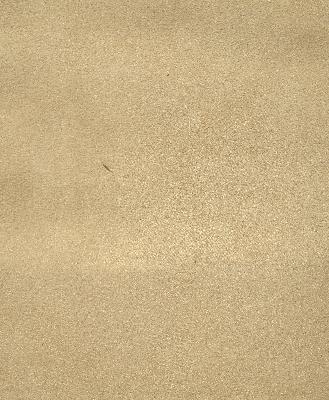 RM Coco Winks Parchment