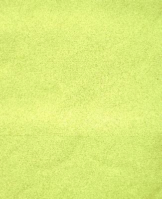 RM Coco Winks Parrot