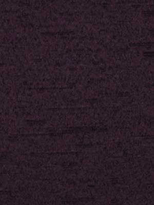 Robert Allen Avezzano Eggplant
